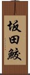 坂田鮫 Scroll