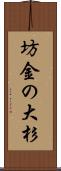 坊金の大杉 Scroll