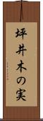 坪井木の実 Scroll