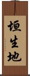 垣生地 Scroll
