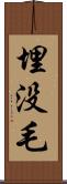 埋没毛 Scroll