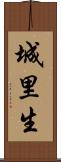 城里生 Scroll