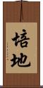 培地 Scroll