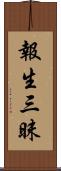 報生三昧 Scroll