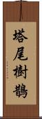 塔尾樹鵲 Scroll