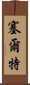 塞爾特 Scroll