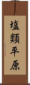 塩類平原 Scroll