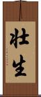 壮生 Scroll