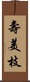 壽美枝 Scroll