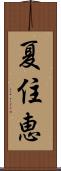 夏住恵 Scroll