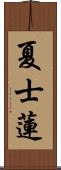 夏士蓮 Scroll