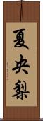 夏央梨 Scroll