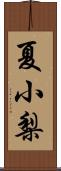 夏小梨 Scroll