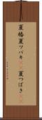夏椿 Scroll