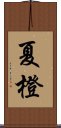 夏橙 Scroll