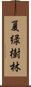 夏緑樹林 Scroll