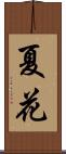 夏花 Scroll