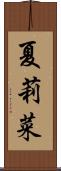 夏莉菜 Scroll