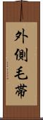 外側毛帯 Scroll