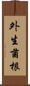 外生菌根 Scroll