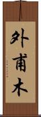外甫木 Scroll