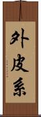 外皮系 Scroll