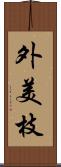 外美枝 Scroll