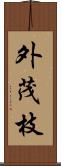 外茂枝 Scroll