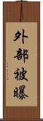 外部被曝 Scroll