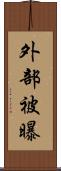 外部被曝 Scroll