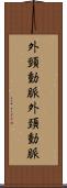 外頸動脈 Scroll