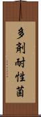 多剤耐性菌 Scroll