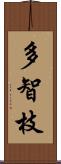 多智枝 Scroll