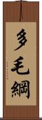 多毛綱 Scroll