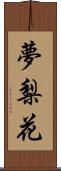 夢梨花 Scroll