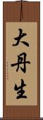 大丹生 Scroll