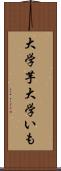 大学芋 Scroll