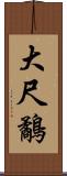 大尺鷸 Scroll