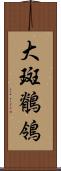 大斑鶺鴒 Scroll