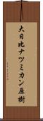 大日比ナツミカン原樹 Scroll