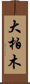 大柏木 Scroll