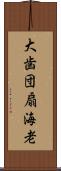 大歯団扇海老 Scroll