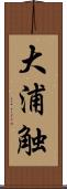 大浦触 Scroll