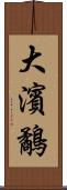 大濱鷸 Scroll