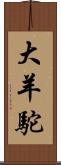 大羊駝 Scroll