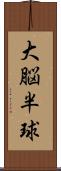 大脳半球 Scroll