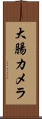 大腸カメラ Scroll