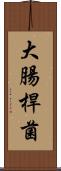 大腸桿菌 Scroll