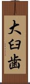 大臼歯 Scroll