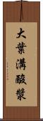 大葉溝酸漿 Scroll